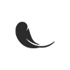 轻 拷贝