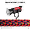 GVM PRO-SD200B 200W Bi-Color Monolight(V-mount && Mesh Bluetooth) - Image 16