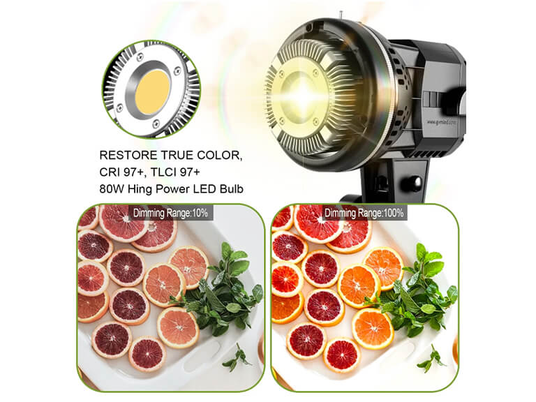 GVM P80S portable LED video light, featuring its compact body.