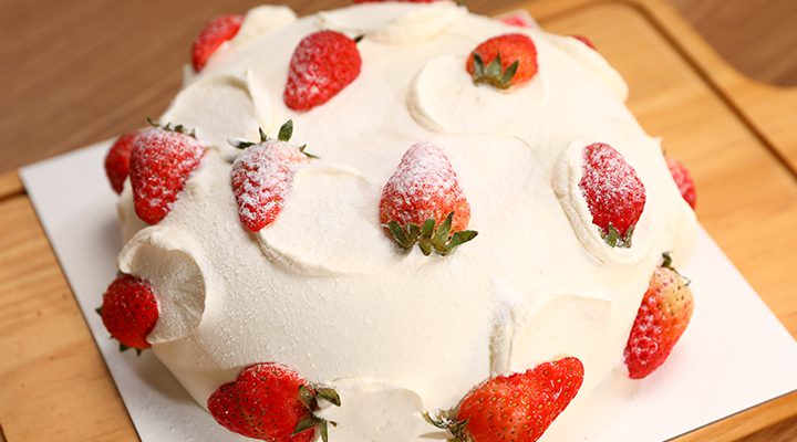 GVM CL100B 高显指