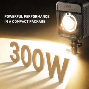 fa 300b Best Portable Monolight for Video